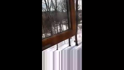 langederek2 online show from March 19, 3:27 pm