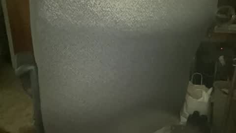 chris online show from February 4, 3:45 am