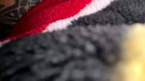 Snapshot of latn_73 chatting on November 16, 8:58 pm Mexakin online show from November 16, 8:58 pm