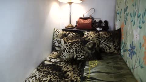 Snapshot of laureen_gavh chatting on February 2, 8:13 am Belle online show from February 2, 8:13 am