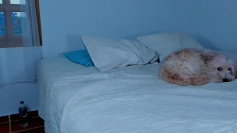 Lucie  online show from February 15, 10:42 pm