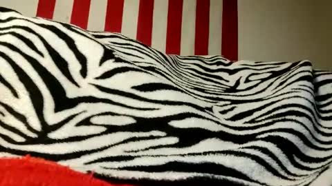 Snapshot of lawerenceingram46 chatting on September 17, 4:25 am lawerenceingram46 online show from September 17, 4:25 am