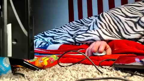 Snapshot of lawerenceingram46 chatting on September 19, 6:04 am lawerenceingram46 online show from September 19, 6:04 am