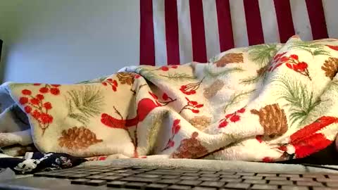 Snapshot of lawerenceingram46 chatting on October 19, 4:35 am lawerenceingram46 online show from October 19, 4:35 am