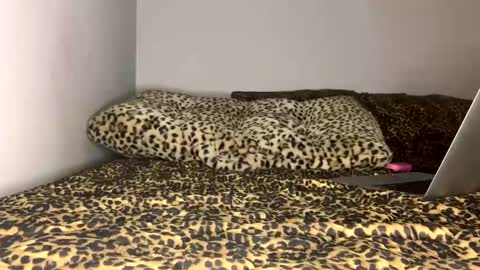 Snapshot of laycee69 chatting on September 18, 4:14 am Laycee Layne online show from September 18, 4:14 am