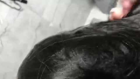 Snapshot of ledi_marin chatting on March 23, 1:42 am Marina Magician online show from March 23, 1:42 am