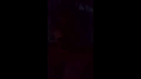 leemo2021 online show from May 20, 8:42 am