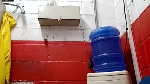 Snapshot of lelefiel chatting on January 17, 3:23 am Pequeno Urso online show from January 17, 3:23 am