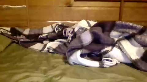 leskator9 online show from November 7, 9:09 am