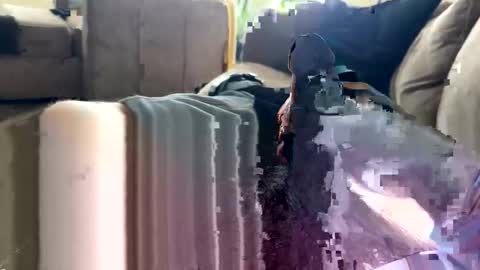 letgetnaughty12345 online show from March 24, 3:06 pm