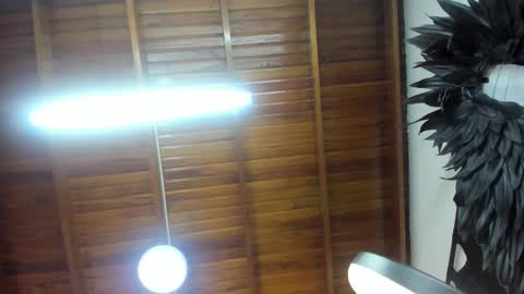 LevySteven online show from November 7, 5:29 am