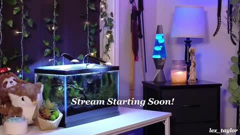 Snapshot of lex_taylor chatting on January 8, 3:19 am Lex online show from January 8, 3:19 am