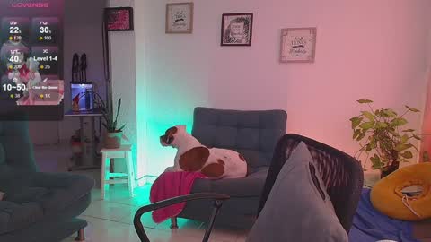 Snapshot of lexie_babe chatting on December 16, 11:33 am Lexie Thompson   8pm  0000am -5 online show from December 16, 11:33 am