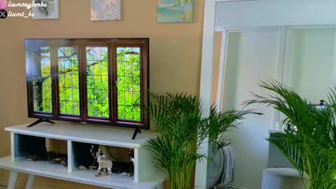 Tell me Liam online show from December 17, 9:32 pm