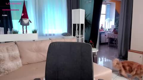 Libby online show from January 3, 11:14 am