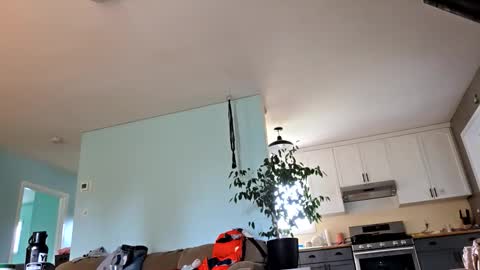 lickurpussygood40 online show from October 24, 5:31 pm