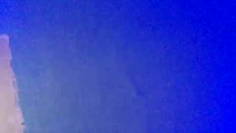 Snapshot of lickyouryoni chatting on February 22, 3:36 pm LickYourYoni online show from February 22, 3:36 pm