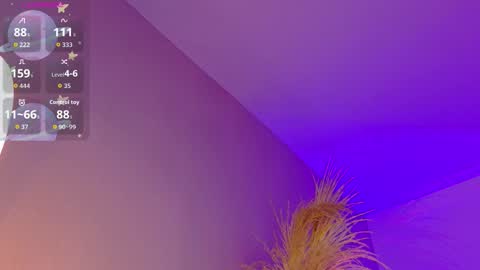 Liiam Luna online show from February 19, 9:05 am