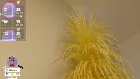 Liiam Luna online show from April 15, 10:00 am