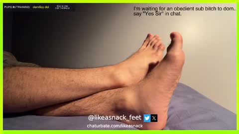 Snapshot of likeasnack chatting on October 14, 6:47 am likeasnack online show from October 14, 6:47 am
