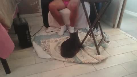 lildicksissy online show from November 28, 5:59 pm