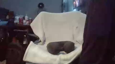 lildman420 online show from March 24, 9:42 pm