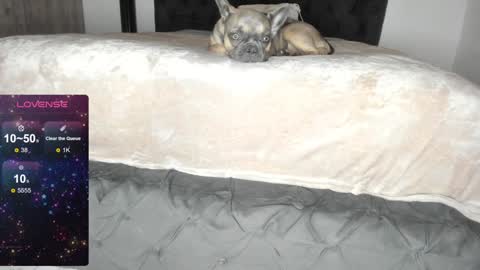 Snapshot of lilith_parker chatting on January 22, 1:20 am Lilith Parker online show from January 22, 1:20 am