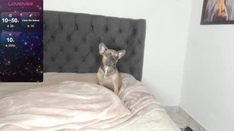 Snapshot of lilith_parker chatting on February 9, 4:14 am Lilith Parker online show from February 9, 4:14 am