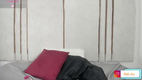 Snapshot of lilithdry chatting on April 28, 2:27 am Lilith online show from April 28, 2:27 am