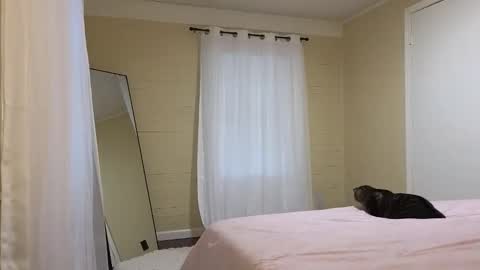 lilly_adams88 online show from May 21, 10:28 pm