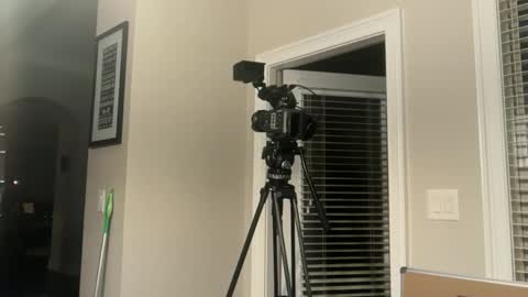 lilnasty100 online show from June 3, 3:09 am