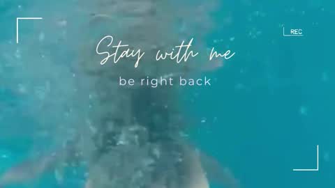 Lily online show from February 18, 6:42 am