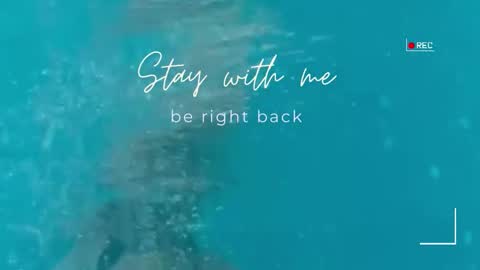 Lily online show from March 6, 7:38 am