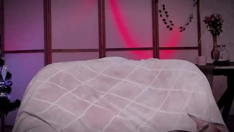 Snapshot of lina_n_kitty chatting on December 16, 11:44 am Lina - online show from December 16, 11:44 am