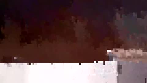 liney38 online show from September 11, 9:53 am