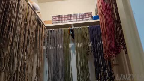 Linzy19 online show from February 7, 3:01 am