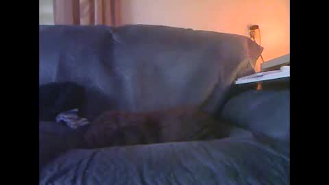 Snapshot of lion160868 chatting on January 18, 9:13 am lion160868 online show from January 18, 9:13 am