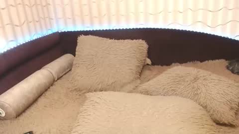 LIpsAddiction online show from October 20, 12:38 pm