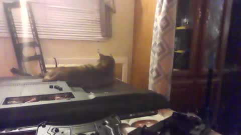 Snapshot of littlegrey376 chatting on February 18, 7:15 am littlegrey376 online show from February 18, 7:15 am