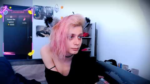 Snapshot of littlepinkcat chatting on October 2, 3:02 am Felix online show from October 2, 3:02 am