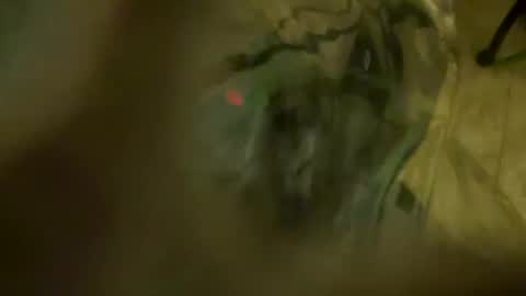 Little Tj online show from April 23, 4:03 am