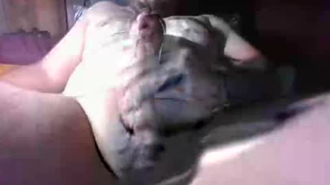 litwinpaweel online show from December 2, 8:26 pm