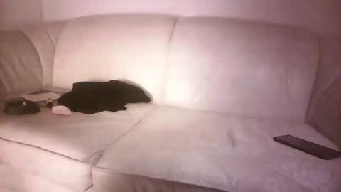 Snapshot of lms_celebi chatting on September 18, 4:25 am lms_celebi online show from September 18, 4:25 am