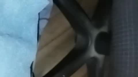 loco_boy007 online show from February 16, 7:10 pm