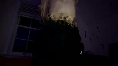 Lofi Boi online show from November 17, 3:23 am