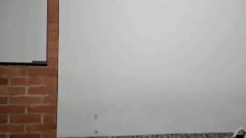 Logan online show from April 9, 3:06 am