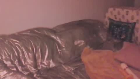 Lola Peach xo online show from March 20, 12:26 am