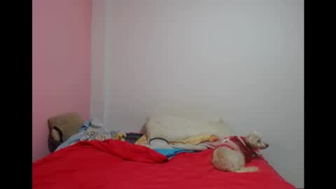 Snapshot of lolitabitchhorney_ chatting on May 19, 8:04 pm Lolita online show from May 19, 8:04 pm
