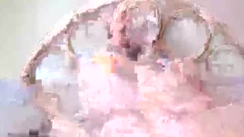 Lolo online show from March 10, 11:48 am