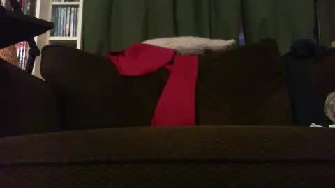 longlorne online show from November 18, 4:28 am